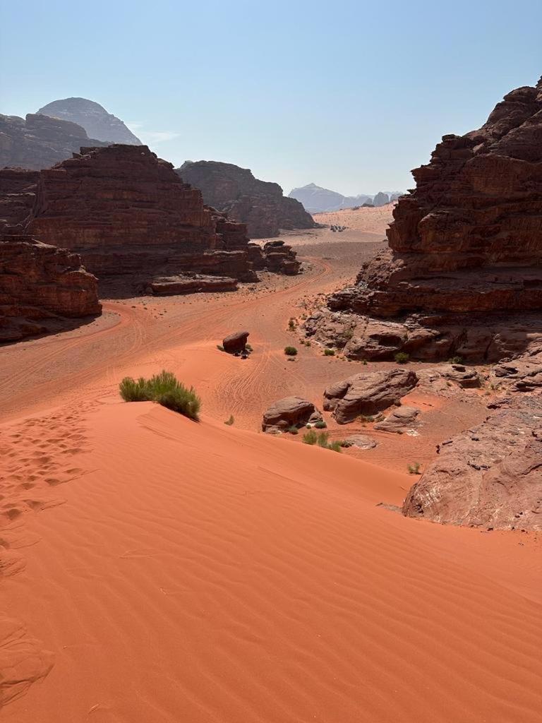 Bedouin Holidays Camp&Jeep Tours Wadi Rum Extérieur photo