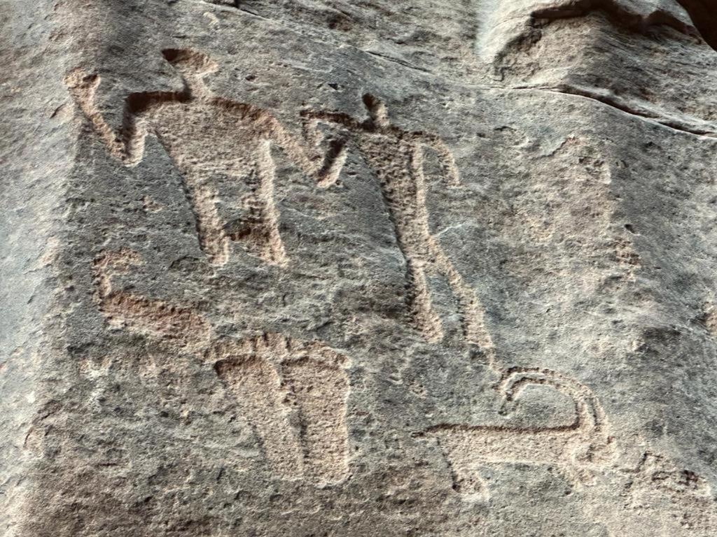 Bedouin Holidays Camp&Jeep Tours Wadi Rum Extérieur photo