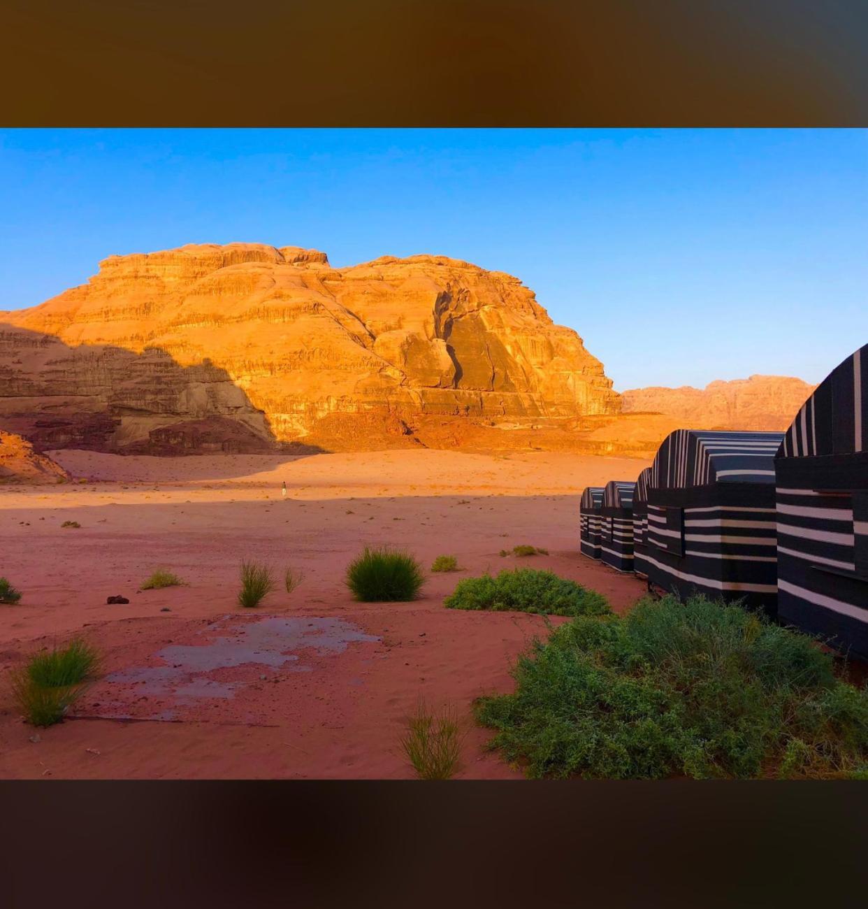 Bedouin Holidays Camp&Jeep Tours Wadi Rum Extérieur photo