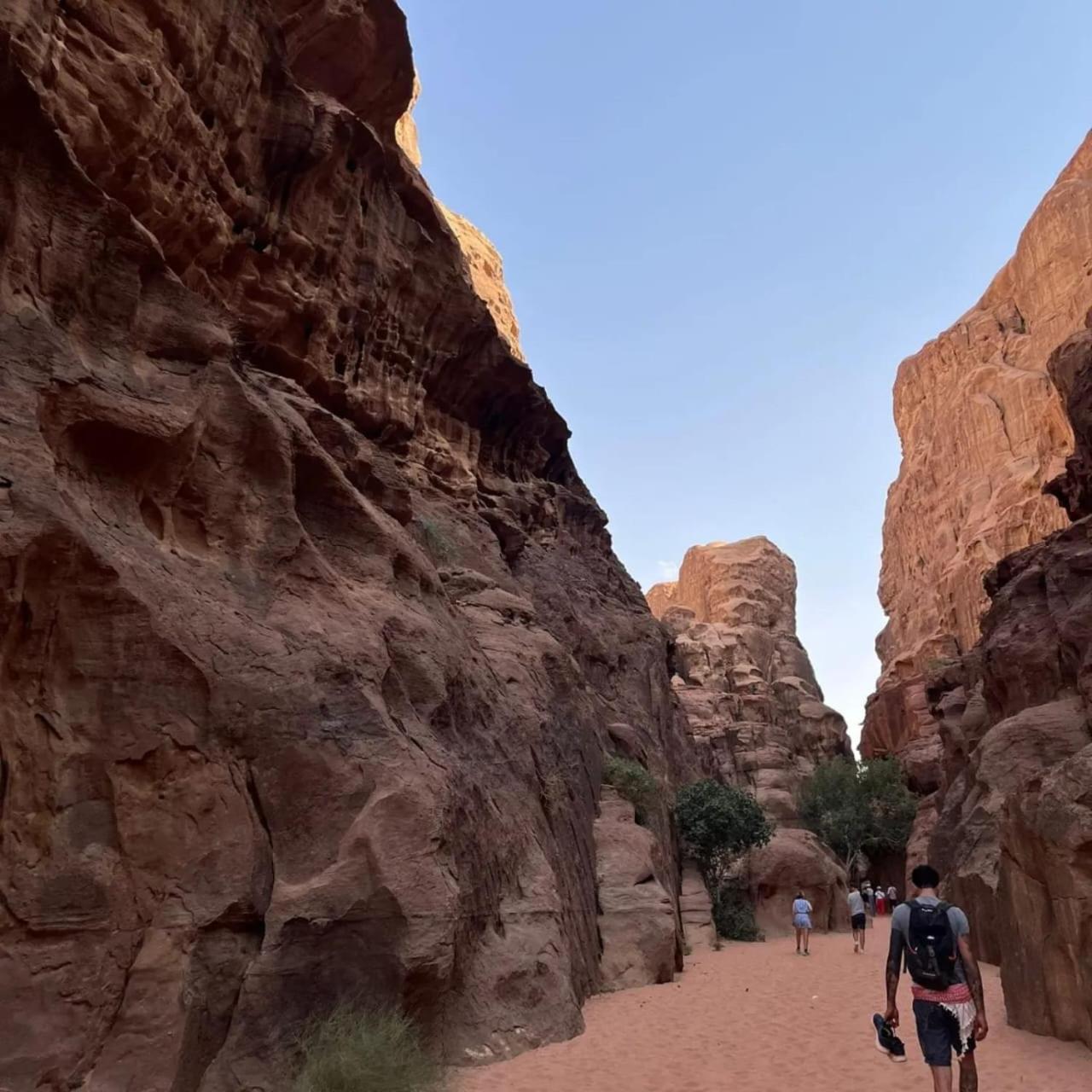 Bedouin Holidays Camp&Jeep Tours Wadi Rum Extérieur photo